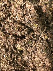 No.35 Herb Mix – Mullein Skullcap Sage Uva Ursi Spearmint Coltsfoot Herb – 2 oz