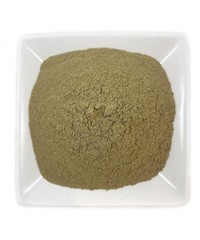 Organic Nettle ROOT POWDER (Urtica dioica) Fresh Batch (Stinging Nettle)