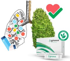 Lignosus Organic Tiger Milk Mushroom Sachets Lung Detox Cleanse 30 Sachet Box