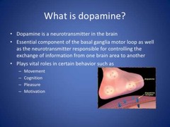 Dopamine and serotonin supplements – MUCUNA PRURIENS 350mg – mood enhancer 1 Bot