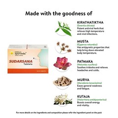 Kerala Ayurveda Sudarsana Tablet (100tab) Herbal Ayurvedic