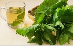 Nettle Organic Dried Cut 100%wild / 1oz to 16oz / Urtica Dioica / 100% Premium