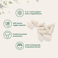 Daily Cognitive Support: 240 Lion’s Mane Extract Capsules with L-Ergothioneine