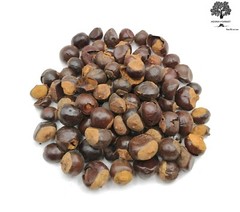 Dried Guarana Seeds 40g – 1,95Kg | Paullinia Cupana
