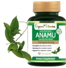 Anamu 1250 Mg 100% organic vitamins vitamisan – 120 Capsules petiveria dried