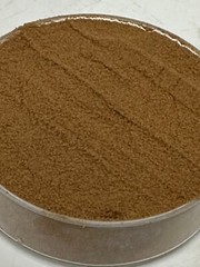 Pygeum Bark 30:1 Extract Powder-50gms-Origin: Southern Africa