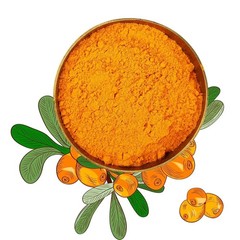 100% Natural Sea Buckthorn Berry Powder 200gm for Skin, Immunity, Gut & Heart