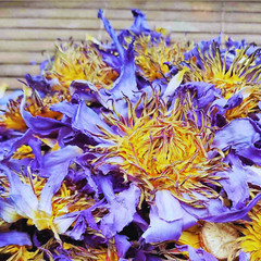 Dried Blue Lotus Flower | Nymphaea Caerulea | 100% Organic Natural Herbal Tea