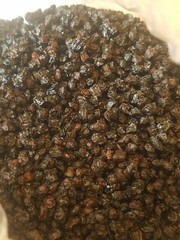 1 LB ORGANIC ELDERBERRIES USDA CERTIFIED Dried Elder Berry Berries Elderberry