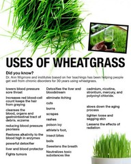 120 Wheatgrass & Ginger Root Capsules | Digestion, Alkalinity, Nutrients & More