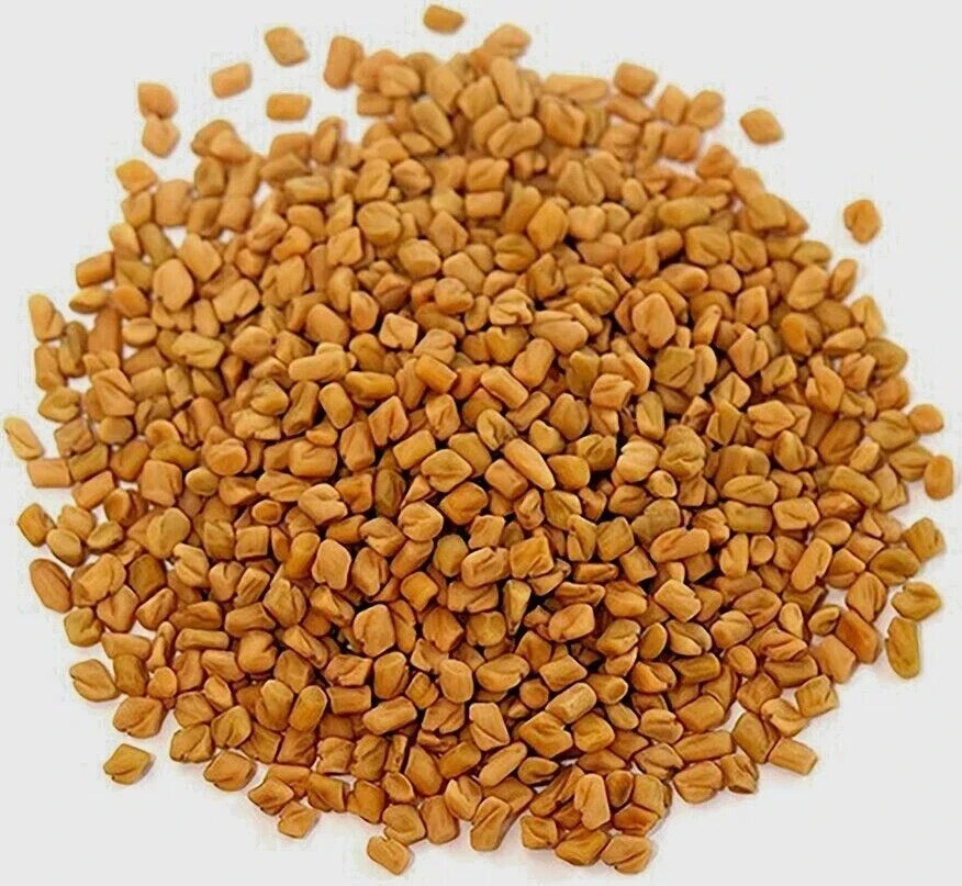 50gm Fenugreek Methi Seed 100% Pure Organic Trigonella Foenu Whole Methi Seed