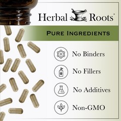 Herbal Roots Organic Ginkgo Biloba Made with Pure 60 Count (Pack of 1)