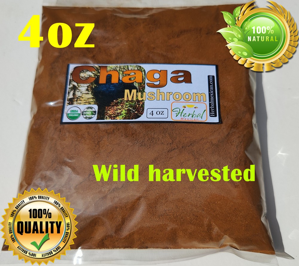 4 oz Chaga Mushroom Powder (Inonotus obliquus) Wild harveted Natural Chaga M