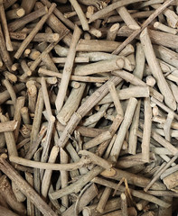 CHEW STICKS – PEPPERMINT MISWAK