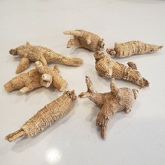 1LB 100% American Ginseng Root Large Round Root Grade A US Seller 美国花旗参大泡参