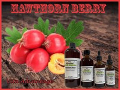 Hawthorn Berry Tincture, Extract, Highest Quality and Strength