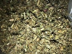 No.16 Herbal Blend – skullcap damiana passionflower marshmallow mullein