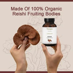 Reishi Mushroom Extract 500mg Pure Organic Strong Capsules (Ganoderma Lucidum)