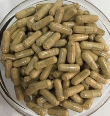 Green Apple 10:1 Extract Capsules Apple polyphenols phloretin phloridzin