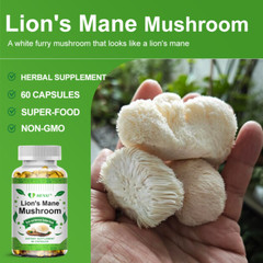 Lion’s Mane Capsules – Nootropic Brain Function & Nerve Growth Factor Cmplx 120p
