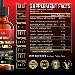 10In1 Liquid Drops Berberine with Ceylon Cinnamon Bitter Melon Turmeric Ginger G