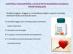 Himalaya Shuddha Guggulu 60 Tabs | Herbal Lipid Wellness | Buy 2 Get 1 Free |