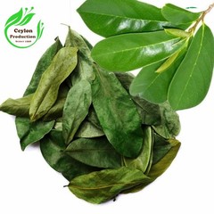 Soursop Leaves Powder Natural Graviola Ground Herbal Fine Leaf Powder