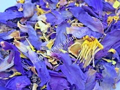 Herbal Blend, Organic Klip Dagga and Organic Blue Lotus ~ Schmerbals Herbals
