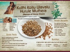 Organic Kollu Kulthi Horse Gram Sex Fertility Treat Dolichos Biflorus Seed 100g