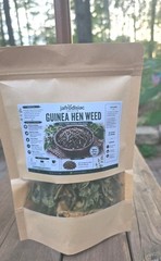 Guinea Hen Weed (Petiveria alliacea) 100 Percent Jamaican Organic 2 Oz