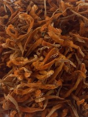 Wild dagga Flower Petals (Leonotis Leonurus)~Wildharvested South Africa 2-16 oz.