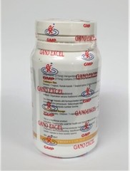 2 Bottles Gano Excel Ganoderma 90 Capsules Reishi Lingzhi Boosts Immune NEW USA