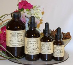 LION’S MANE Extract brain cell mood nootropic NGF skin ORGANIC FOLK TINCTURE ~