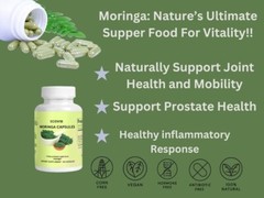 Moringa Oleifera Leaf Powder Capsules 100% Organic, Unoxidized, High Protein,…