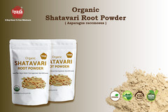 Shatavari Root Powder, USDA Organic (Asparagus racemosus) Ships free 4, 8, 16 oz