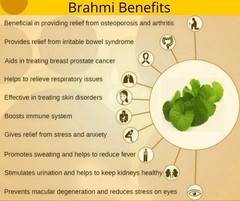 Kerala Ayurveda Brahmi Pearls (40 Capsules) Herbal Ayurvedic Memory Wellness z91