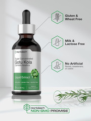 Gotu Kola Extract 2oz Alcohol-Free Concentrated Liquid Herb Gluten Free Non-GMO