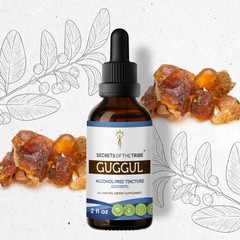 Secrets Of The Tribe Guggul Tincture Alcohol-FREE