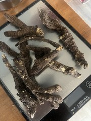 Oshá Root 1 oz Sustainable Wild harvested Hand-Dug above 9k’ Colorado Rockies