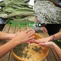 Organic Mullein Leaf Tea with Benefits Good for Lungs & Respiratory Health 100g