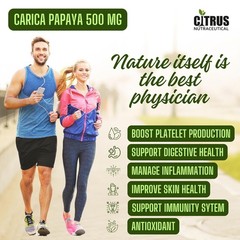 Citrus Nutraceutical Carica Papaya Capsules, 60 Capsules
