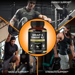 Shilaji Energ Replenish Energy Enhance Immune System Function Promotes Energy
