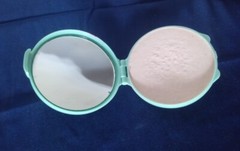 CHARLE Rose Powder Blush Face Makeup Set Compact Foundation With Mirror New