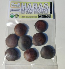 Haba o Semilla de San Ignacio 8 Habas Enteras Ignatius Bean !!!