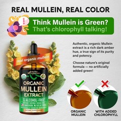 Mullein Drops for Lungs – USDA Organic Liquid – Mullein Leaf Extract Supplement