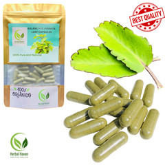 Organic Kalanchoe Pinnata Leaves Capsules (600mg) Bryophyllum pinnatum Natural
