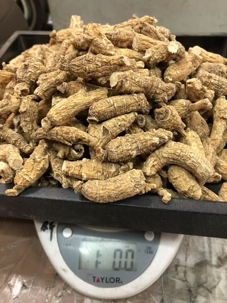 1LB Per Bag High-Quality American Ginseng Root 正宗半野美国威州花旗参/西洋参(1磅装)-U.S Seller