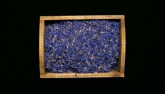 Blue Cornflower Petals: Natural for Tea/Craft/Salads 4 oz. Free Shipping USA
