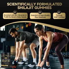 Grevol Himalayan Shilajit Gummies: Gold Grade 60 Count (Pack of 1)
