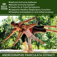 240 x PILLS ANDROGRAPHIS EXTRACT NATURAL IMMUNE SYSTEM DEFENSE SUPPORT CAPSULES